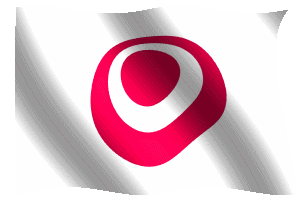 ryukyuflag